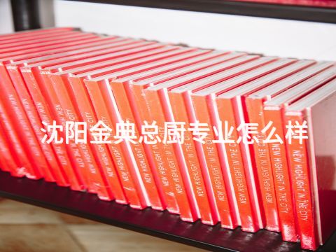 沈阳金典总厨专业怎么样