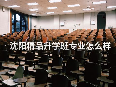 沈阳精品升学班专业怎么样