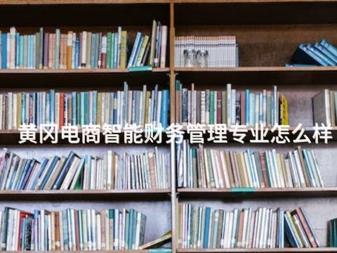 黄冈电商智能财务管理专业怎么样(图1) 黄冈电商智能财务管理专业怎么样(图1)