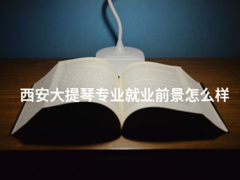 西安大提琴专业就业前景怎么样(图1) 西安大提琴专业就业前景怎么样(图1)