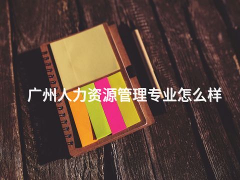 广州人力资源管理专业怎么样