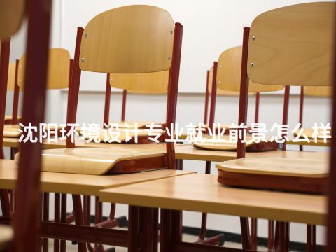 沈阳环境设计专业就业前景怎么样