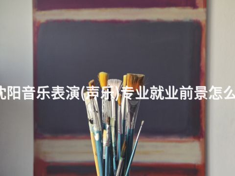 沈阳音乐表演(声乐)专业就业前景怎么样
