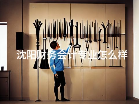 沈阳财务会计专业怎么样(图1) 沈阳财务会计专业怎么样(图1)