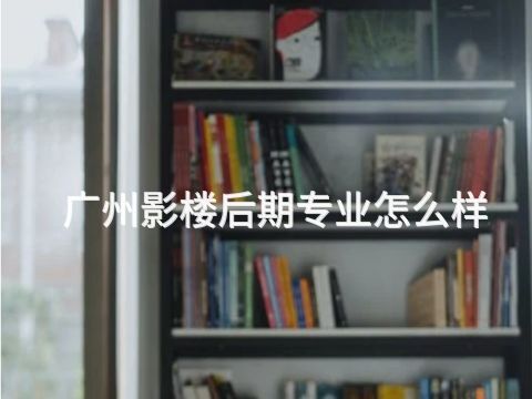 广州影楼后期专业怎么样