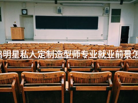 宝鸡明星私人定制造型师专业就业前景怎么样