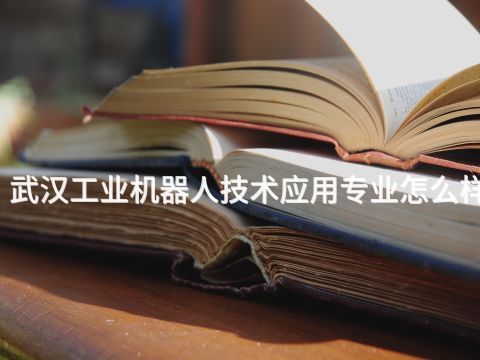 武汉工业机器人技术应用专业怎么样(图1) 武汉工业机器人技术应用专业怎么样(图1)