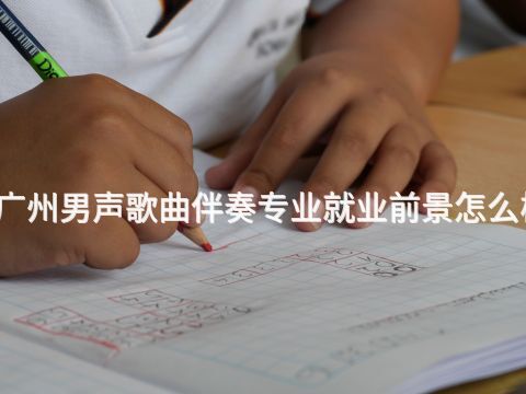 广州男声歌曲伴奏专业就业前景怎么样