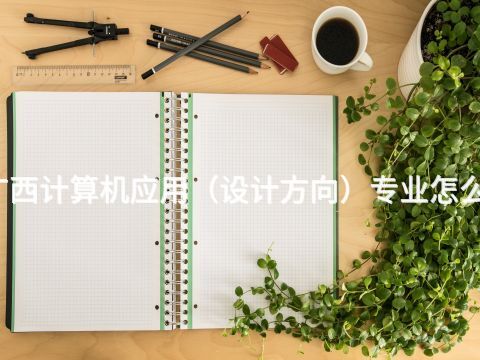 广西计算机应用（设计方向）专业怎么样