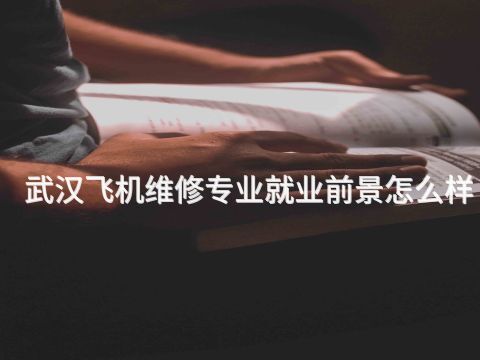武汉飞机维修专业就业前景怎么样