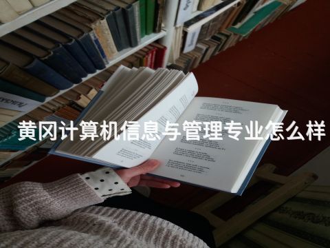 黄冈计算机信息与管理专业怎么样