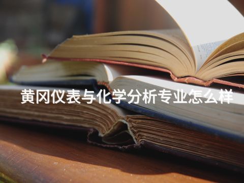 黃岡儀表與化學分析專業怎么樣(圖1) 黃岡儀表與化學分析專業怎么樣(圖1)