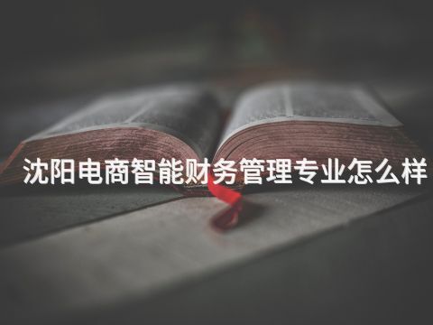 沈阳电商智能财务管理专业怎么样