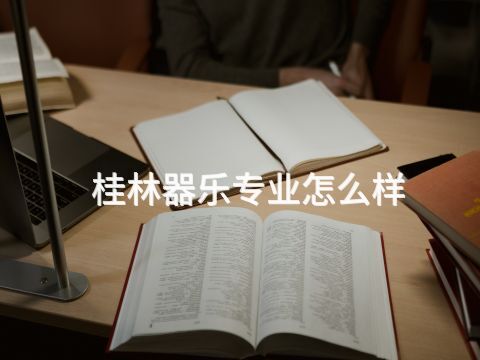 桂林器樂專業怎么樣