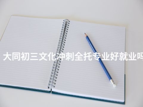 大同初三文化冲刺全托专业好就业吗
