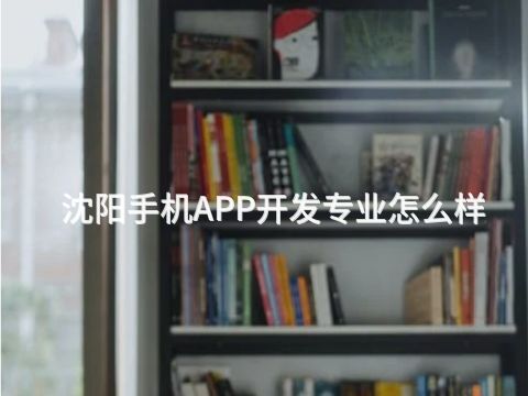 沈阳手机APP开发专业怎么样