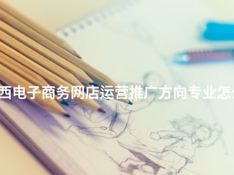 广西电子商务网店运营推广方向专业怎么样