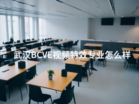 武汉BCVE视频特效专业怎么样