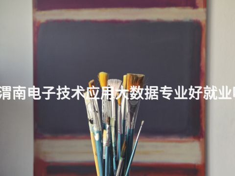 渭南电子技术应用大数据专业好就业吗