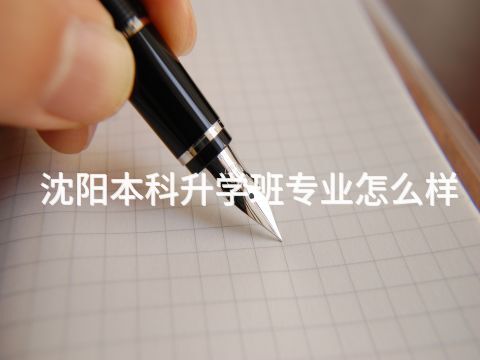 沈阳本科升学班专业怎么样