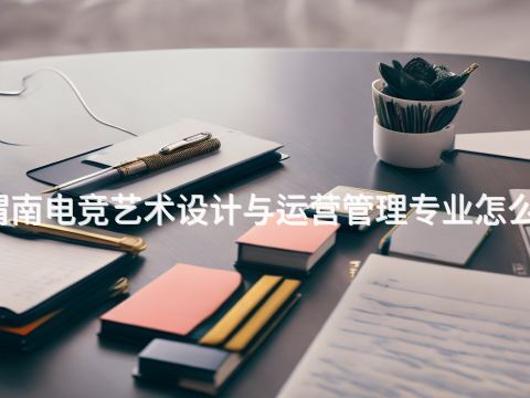 渭南电竞艺术设计与运营管理专业怎么样(图1) 渭南电竞艺术设计与运营管理专业怎么样(图1)