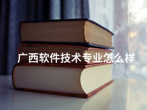 广西软件技术专业怎么样