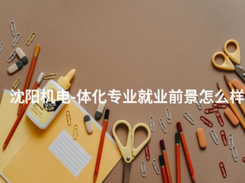 沈阳机电-体化专业就业前景怎么样