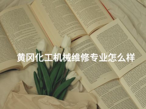 黄冈化工机械维修专业怎么样(图1) 黄冈化工机械维修专业怎么样(图1)