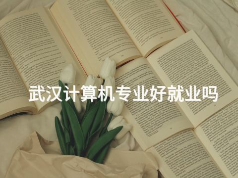 武汉计算机专业好就业吗(图1) 武汉计算机专业好就业吗(图1)