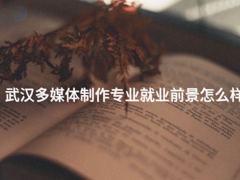 武汉多媒体制作专业就业前景怎么样(图1) 武汉多媒体制作专业就业前景怎么样(图1)