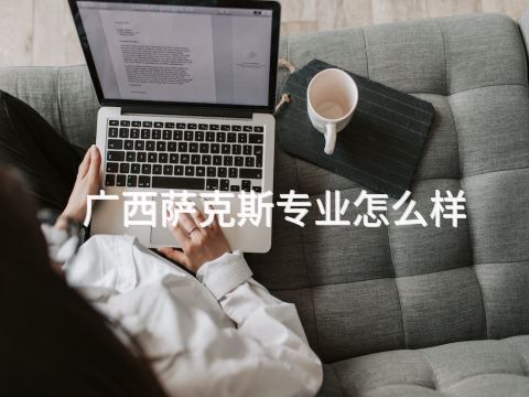 广西萨克斯专业怎么样