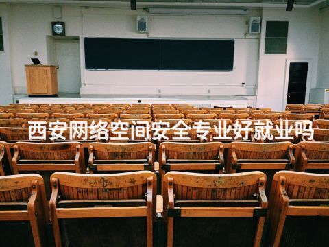 西安网络空间安全专业好就业吗