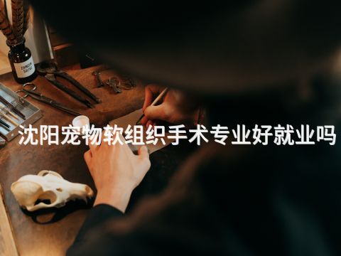 沈阳宠物软组织手术专业好就业吗(图1) 沈阳宠物软组织手术专业好就业吗(图1)