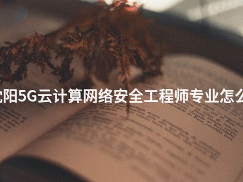 沈阳5G云计算网络安全工程师专业怎么样