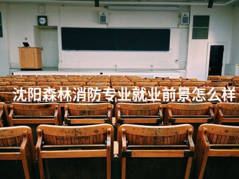 沈阳森林消防专业就业前景怎么样(图1)