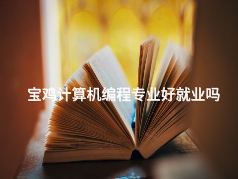 宝鸡计算机编程专业好就业吗