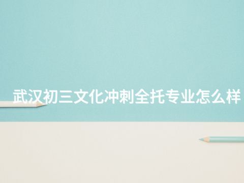 武汉初三文化冲刺全托专业怎么样