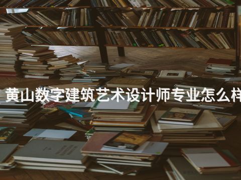黄山数字建筑艺术设计师专业怎么样