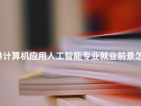 桂林计算机应用人工智能专业就业前景怎么样(图1) 桂林计算机应用人工智能专业就业前景怎么样(图1)