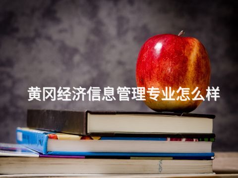黄冈经济信息管理专业怎么样