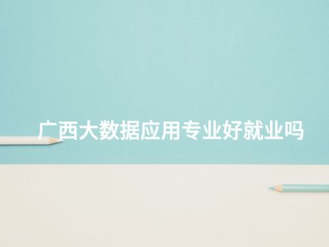 广西大数据应用专业好就业吗