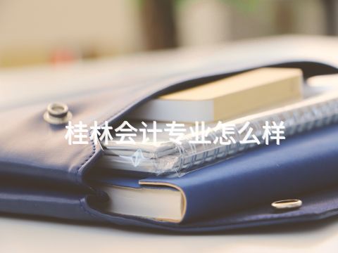 桂林会计专业怎么样(图1) 桂林会计专业怎么样(图1)