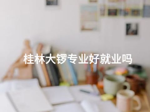 桂林大锣专业好就业吗(图1) 桂林大锣专业好就业吗(图1)