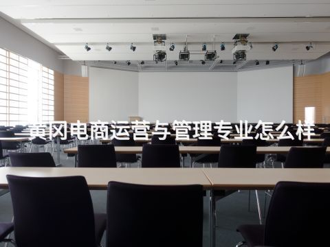 黄冈电商运营与管理专业怎么样(图1) 黄冈电商运营与管理专业怎么样(图1)