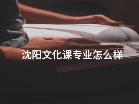 沈阳文化课专业怎么样(图1) 沈阳文化课专业怎么样(图1)