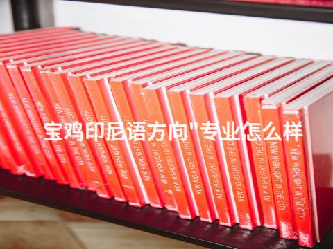 宝鸡印尼语方向"专业怎么样