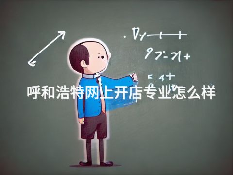 呼和浩特网上开店专业怎么样