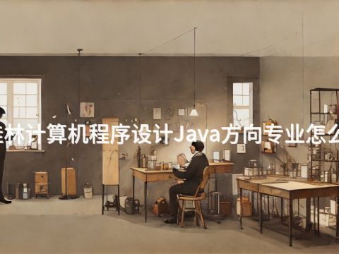 桂林计算机程序设计Java方向专业怎么样(图1) 桂林计算机程序设计Java方向专业怎么样(图1)