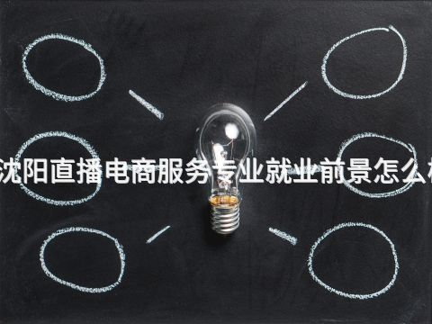 沈阳直播电商服务专业就业前景怎么样(图1) 沈阳直播电商服务专业就业前景怎么样(图1)