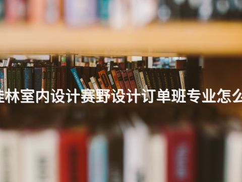 桂林室内设计赛野设计订单班专业怎么样(图1)